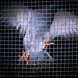 国产日韩欧美精品
