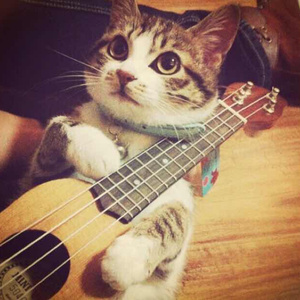 国产日韩欧美精品
